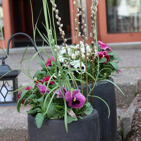 Hotell Fridhemsgatan ムーラ エクステリア 写真